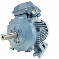 Động cơ xoay chiều ba pha rô to lồng sóc Thương hiệu ABM-2WJA160LC6VC Motor dùng cho IQF- ATTP