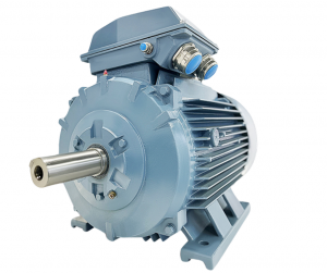 Động cơ xoay chiều ba pha rô to lồng sóc Thương hiệu ABM-2WJA160LC6VCMotor dùng cho IQF- ATTP