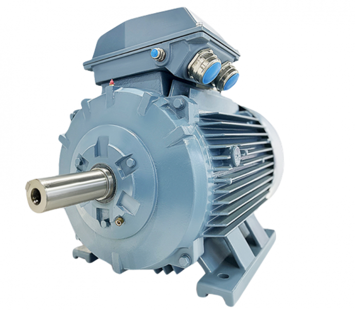 Động cơ xoay chiều ba pha rô to lồng sóc Thương hiệu ABM-2WJA160LC6VC Motor dùng cho IQF- ATTP