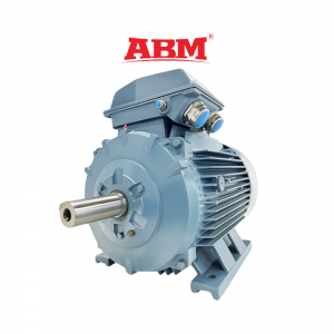 Động cơ xoay chiều ba pha rô to lồng sóc Thương hiệu ABM-2WJA160LC6VCMotor dùng cho IQF- ATTP